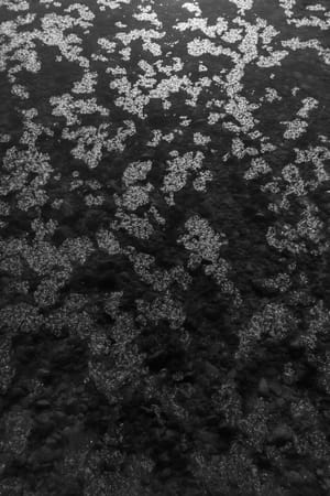 River Bubbles